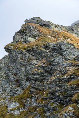 kayalık Tatra dağ turistik yürüyüş parkurları Slovakya