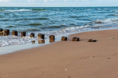 Eski dalgakıran kalanlar denizde ahşap direkleri
