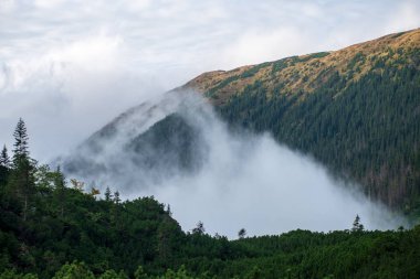 Tırmanma dağ Vadisi Slovakya üzerinden puslu bulut