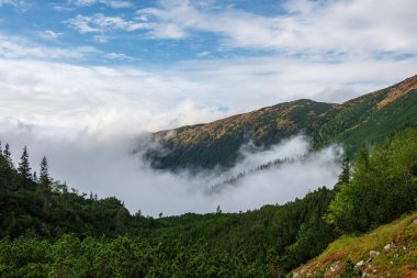 Tırmanma dağ Vadisi Slovakya üzerinden puslu bulut