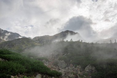 Tırmanma dağ Vadisi Slovakya üzerinden puslu bulut