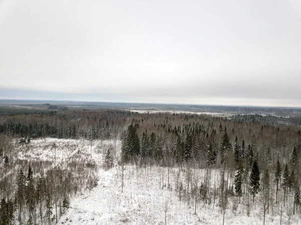 Страны Небольшие Речные Линии Поле Зимой — стоковое фото