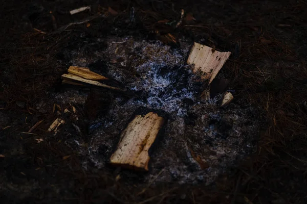 trash in wet damp forest in autumn