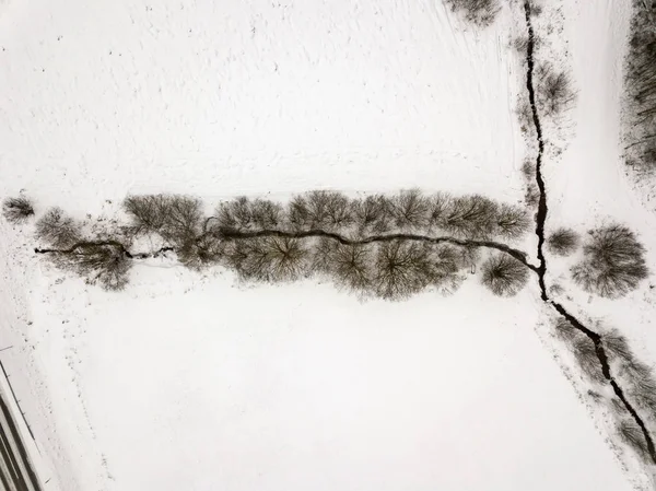 乡村小河线在领域在冬天 — 图库照片