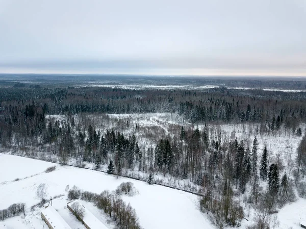 Alberi Innevati Nella Foresta Vista Dall Alto — Foto Stock