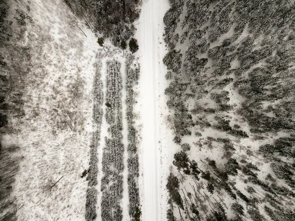 Snöiga Träd Skogen Sett Från Ovan — Stockfoto