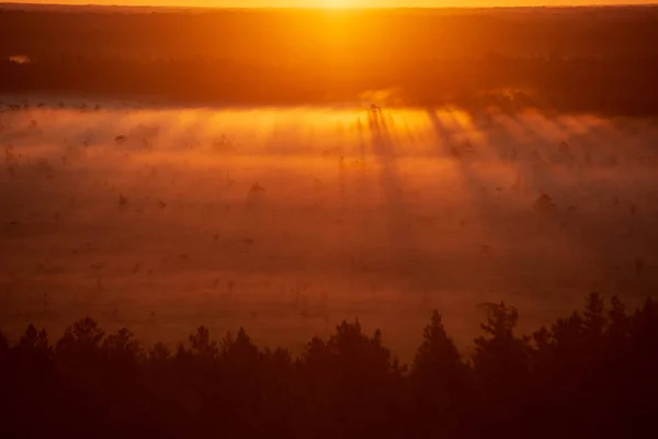 Colorido Amanecer Brumoso Sobre Bosque Con Rayos Luz Niebla — Foto de Stock