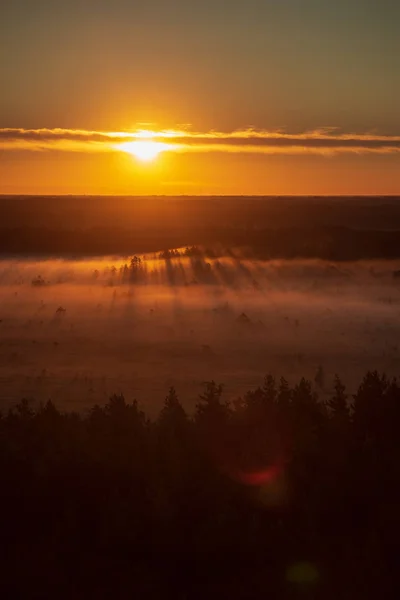 Colorido Amanecer Brumoso Sobre Bosque Con Rayos Luz Niebla — Foto de Stock