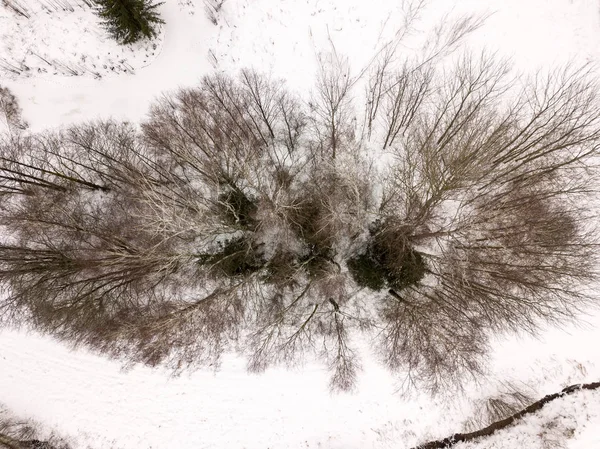 Land Kleine Flusslinien Feld Winter — Stockfoto