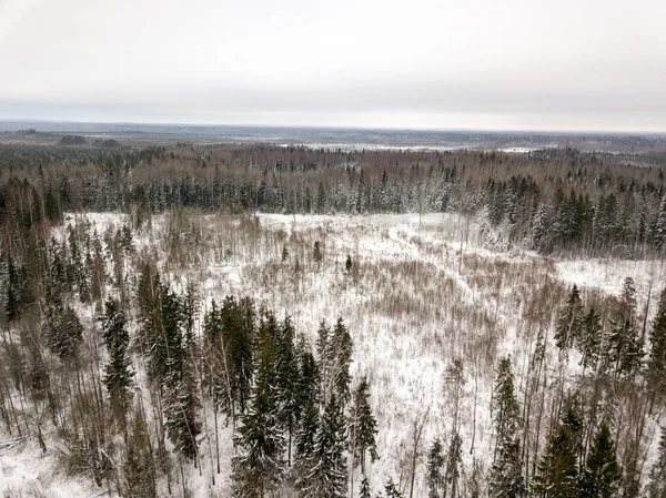 country small river lines in field in winter