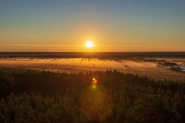 Barevné Mlhavé Východ Slunce Nad Les Paprsky Světla Mlze — Stock fotografie