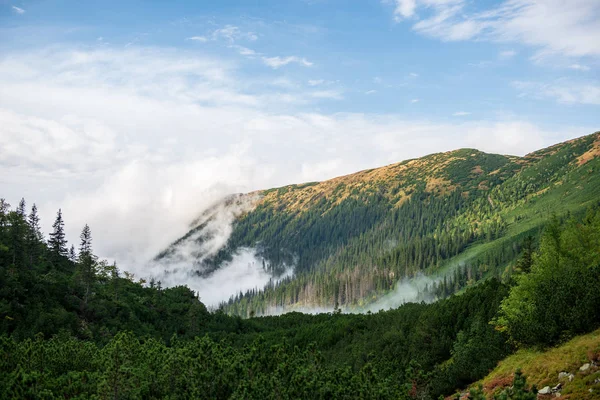 Tırmanma Dağ Vadisi Slovakya Üzerinden Puslu Bulut — Stok fotoğraf
