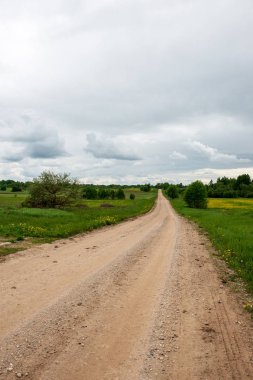 boş kırsal yol bahar mevsiminde