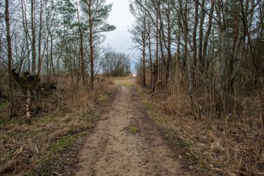 boş kırsal yol bahar mevsiminde