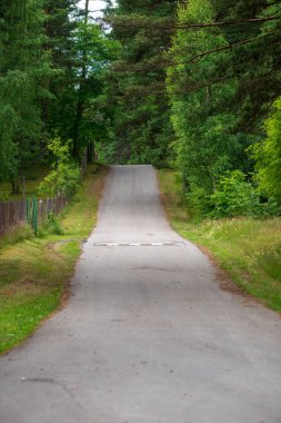 boş kırsal yol bahar mevsiminde