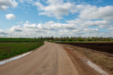boş kırsal yol bahar mevsiminde