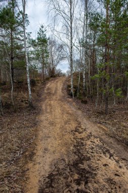 boş kırsal yol bahar mevsiminde