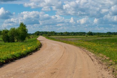 boş kırsal yol bahar mevsiminde