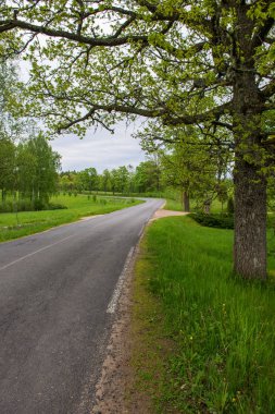boş kırsal yol bahar mevsiminde