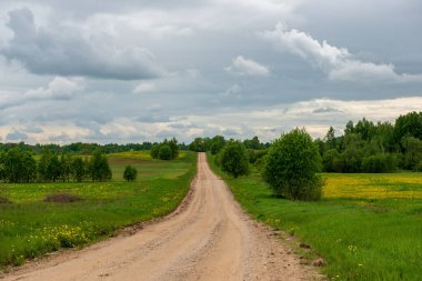 boş kırsal yol bahar mevsiminde