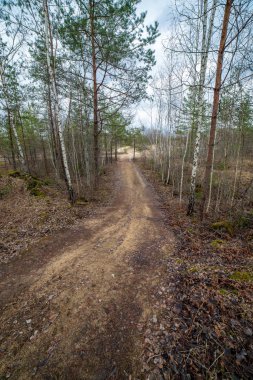 boş kırsal yol bahar mevsiminde