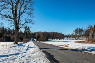 Kışın yol boş asfalt doğal görünümü