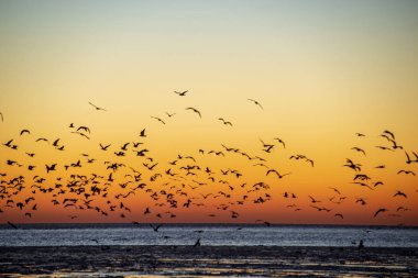 Dondurulmuş deniz üzerinde kırmızı günbatımı manzaralı görünüm