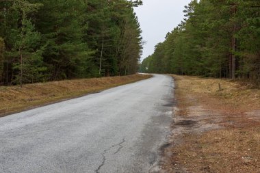 boş kırsal yol bahar mevsiminde