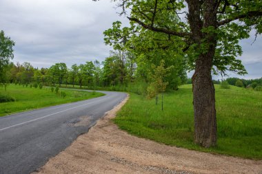 boş kırsal yol bahar mevsiminde