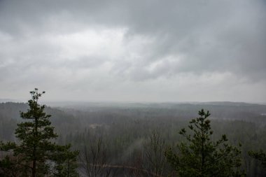 Kışın sisli ormanın doğal görünümü