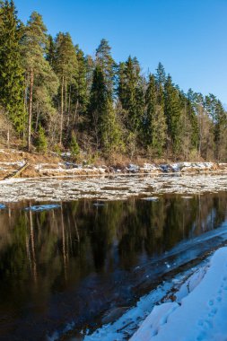 kumtaşı kayalıklarla Letonya kış Gauja Nehri kıyısında