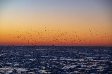 Dondurulmuş deniz üzerinde kırmızı günbatımı manzaralı görünüm