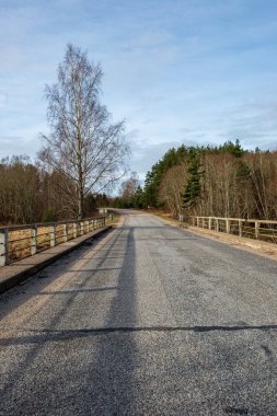 boş kırsal yol bahar mevsiminde