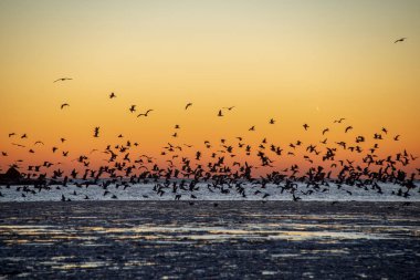 Dondurulmuş deniz üzerinde kırmızı günbatımı manzaralı görünüm