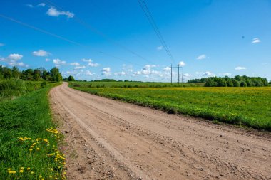 boş kırsal yol bahar mevsiminde