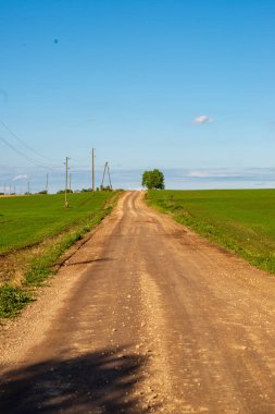boş kırsal yol bahar mevsiminde