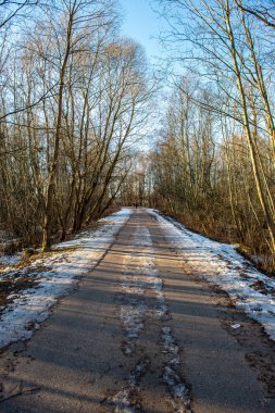 Kışın yol boş asfalt doğal görünümü