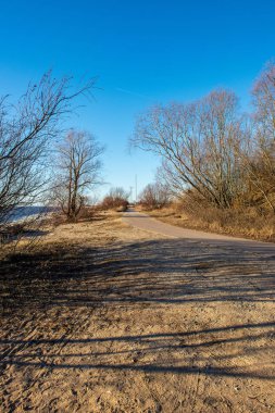 Kışın yol boş asfalt doğal görünümü