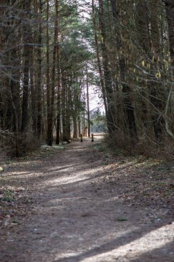 boş kırsal yol bahar mevsiminde