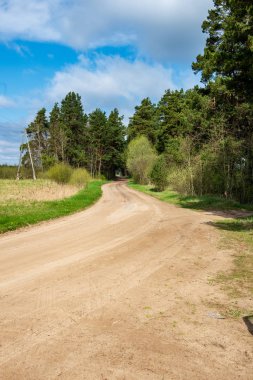 boş kırsal yol bahar mevsiminde