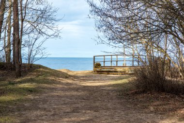 boş kırsal yol bahar mevsiminde