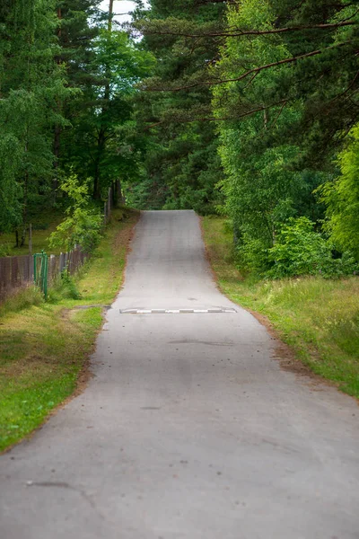 boş kırsal yol bahar mevsiminde