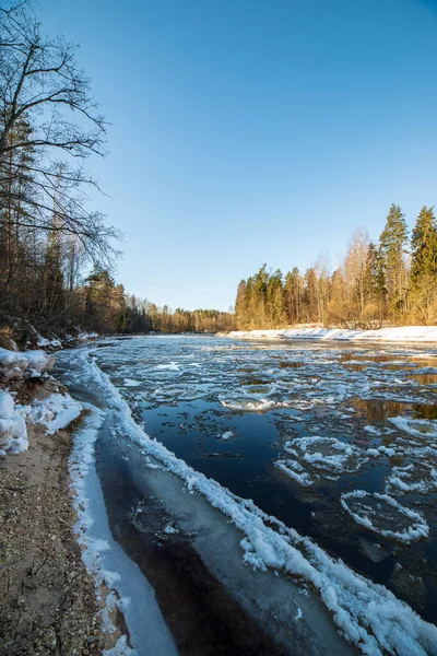 Acantilados Arenisca Orilla Del Río Gauja Invierno Letonia — Foto de Stock