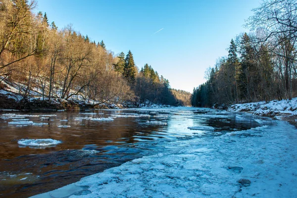 Acantilados Arenisca Orilla Del Río Gauja Invierno Letonia — Foto de Stock