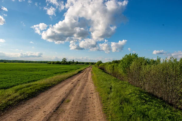 Camino Rural Vacío Durante Temporada Primavera — Foto de Stock