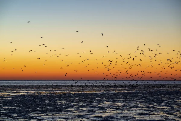 Vista Panorâmica Pôr Sol Vermelho Sobre Mar Congelado — Fotografia de Stock