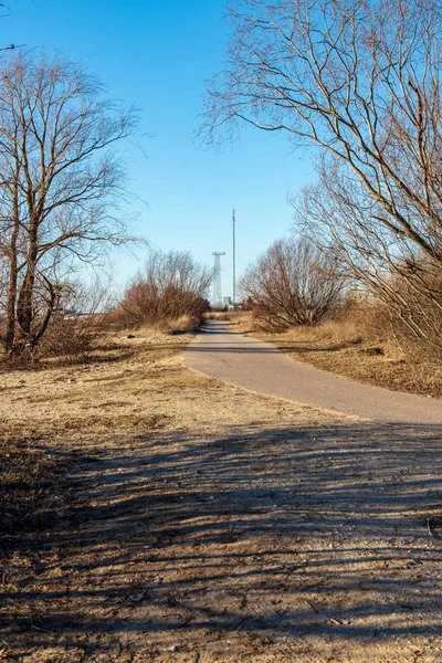 Kışın yol boş asfalt doğal görünümü