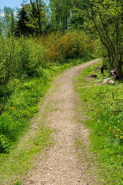 boş kırsal yol bahar mevsiminde
