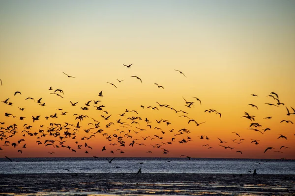 Dondurulmuş deniz üzerinde kırmızı günbatımı manzaralı görünüm