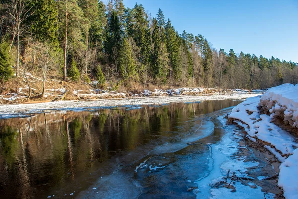 Acantilados Arenisca Orilla Del Río Gauja Invierno Letonia — Foto de Stock